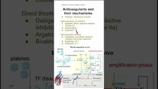 Anticoagulants and their mechanisms [upl. by Azelea449]