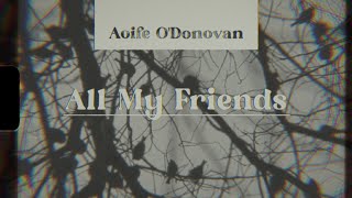 Aoife ODonovan  All My Friends Full Album [upl. by Heiney]