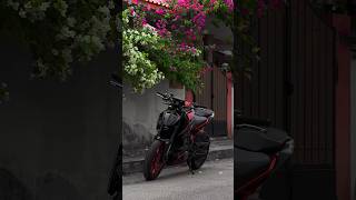 KTM duke 390 modified status dukelover duke390 ktmbike⁠KTM Shorts ShortsTrend ShortsViral [upl. by Baird]