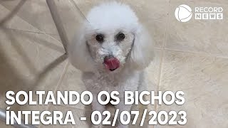 Soltando os Bichos  02072023 [upl. by Ardnos]