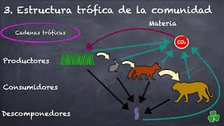 Niveles tróficos [upl. by Alicia]