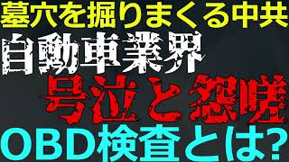 1212 公然と政府批判！新車検ルールの影響で自動車業界に怨嗟の声 [upl. by Nordna]