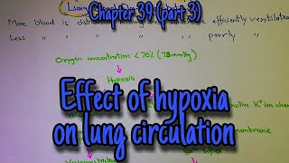 Effect of hypoxia on lung circulation Chapter 39 part 3 Guyton and hall text book of physiology [upl. by Simonne]