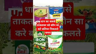 Dhaan ka best fertilizer spray agriculture dhankheti farming agriculturefarming dhaankikheti [upl. by Wanyen]