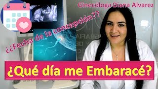 ¿QUÉ DÍA ME EMBARACÉ ¿CÓMO CALCULAR LA FECHA DE CONCEPCIÓN POR GINECOLOGA DIANA ALVAREZ [upl. by Jacklin]