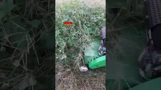 Shennong Hoeing Machinery Factory Diesel4WD Grasscutter Microtillage Photosynthesis viralvideo [upl. by Garretson]