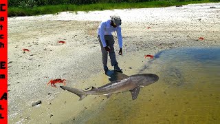 FISHING in CRAB ISLANDs Hidden SHARK LAKE [upl. by Kampmann690]