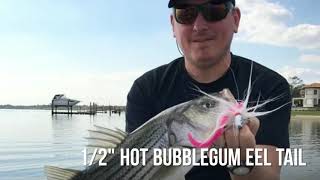 Fishing with Eel Tail Jig Strips  40X Stronger than Soft Baits [upl. by Henderson]