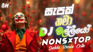 2024 Sinhala Dj Party Nonstop  Tik Tok Trending Dj Remix  Sinhala Dj Nonstop  2024 New Songs [upl. by Xever980]