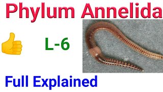 Animal kingdom  phylum Annelida ncert Annelida in Hindi classification of annelida [upl. by Aihsekel945]