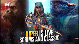 SCRIMS AND CLASSIC LIVE [upl. by Eittak]