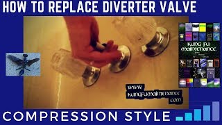 How To Replace Diverter Valve  Compression Style Tub To Shower [upl. by Nimocks422]