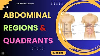 Nine Abdominal Regions and Four Abdominal Quadrants [upl. by Aralk926]