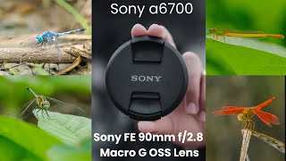 Video photography of Sony a6700 camera with Sony FE 90mm f28 Macro G OSS Lens  sony camera a6700 [upl. by Desdamona733]