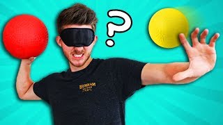 BLIND Dodgeball Challenge [upl. by Ming798]