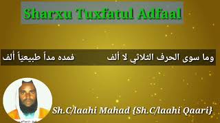 Sh Claahi qaariSharxu Tuxfatul Adfaal [upl. by Kilam]