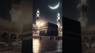 all country religionBut islam is true religionmy favourite religion is islamToMeditz08shorts [upl. by Guenzi396]