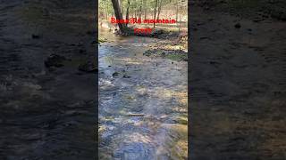 Beautiful mountain creek in Michaux SF dayhikingandherpingdudes [upl. by Randee]