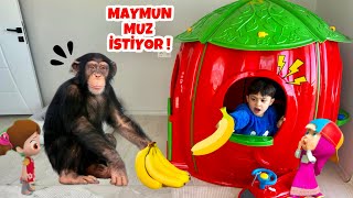 Eve giren maymun Poyrazdan muz istedi [upl. by Sivrat]