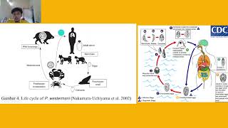 Paragonimus westermani di Kawasan Tropis The Ways to Find It [upl. by Sualk]