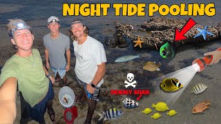 Exploring For Sea Creatures in TIDE POOLS at NIGHT [upl. by Oidgime]