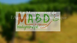 La notion de processus en agronomie et en biodynamie  Dominique Massenot [upl. by Joly878]