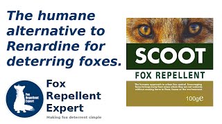 The humane alternative to Renardine for deterring foxes [upl. by Amsab575]