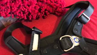 Allsafe Car Seat Harness For Dogs Review  Dog Training Nation [upl. by Nesaj]