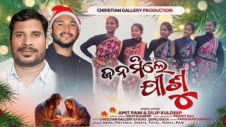 Amit Pani New Odia song Janamile Jishu Rajana  Dilip Kuldeep [upl. by Nadroj]