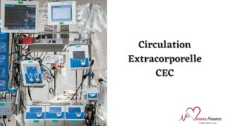 Questce que la Machine Circulation Extracorporelle  CEC [upl. by Nonohcle908]