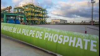 Marché mondial des phosphates  comment l’Algérie de Tebboune sest laissé dominer par le Maroc [upl. by Adrell]