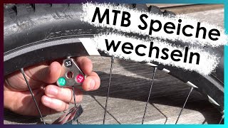 Gebrochene Speiche am Fahrrad wechseln MTB  Ausführliche Anleitung [upl. by Odarnoc]