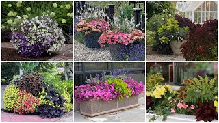 6 Container Combinations to Love 😍💚🥰  Garden Answer [upl. by Isabella]