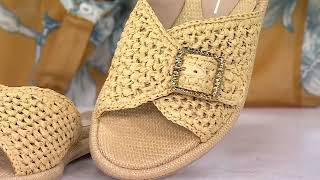 Dolce Vita Buckle Slide Sandals  Alonzo on QVC [upl. by Auqenat316]