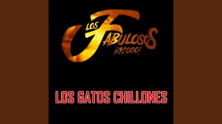 Los Gatos Chillones [upl. by Merth]