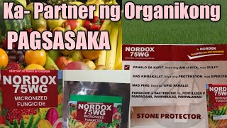 Nordox 75WG Micronized Fungicide  Ka Partner ng Organikong Pagsasaka [upl. by Doralyn720]