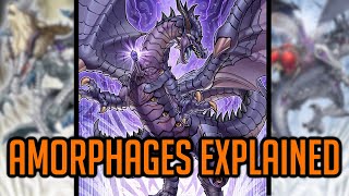 Amorphage Explained In 18 Minutes YuGiOh Archetype Analysis [upl. by Aneeg]