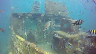 Dressel Divers St George Wreck Dive In Bayahibe [upl. by Hayilaa]