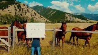 Barbed Wire lyric video – Parsonsfield [upl. by Nevek]