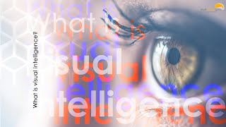 What is visual intelligence [upl. by Einahpets]