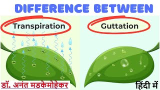 Difference between Transpiration and Guttation [upl. by Atnahs]