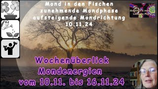 Wochenüberblick der Mondenergien vom 1011 bis 161124 [upl. by Cammie]