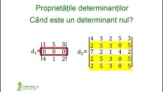 Determinanti nuli  Algebra cls a 11a [upl. by Mathews]