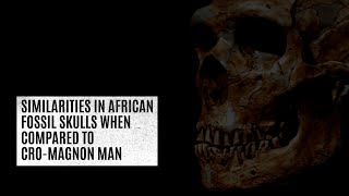 Similarities in African fossil skulls when compared to CroMagnon Man [upl. by Blank737]