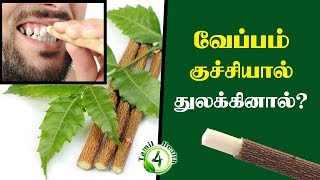 தினமும் ஏன் வேப்பங்குச்சியால் பல் தேய்க்கணும்Veppam Kuchi Neem Stick [upl. by Noira932]