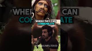 Scariest Encounter With A Cannibal Tribe  JRE featuring Paul Rosolie [upl. by Elocyn]