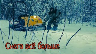 Мотобуксировщик завёз в тайгуSnowmobile led into the Russian taiga [upl. by Ileray551]