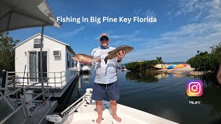 Reeling in the Big Ones Epic Fishing in Big Pine Key Florida [upl. by Liris]