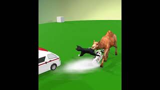 cat camel Train Rescue and rabit funny cartoons [upl. by Arul]