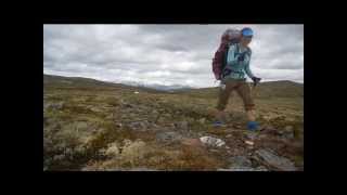 Dovrefjell amp Rondane 2014 [upl. by Belshin]